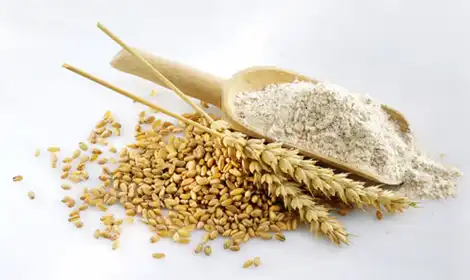 What is a Hydrolyzed Wheat Protein?